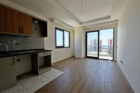 1+1 Wohnung  in Alanya, Antalya, Türkei Nr. 216482 - 23