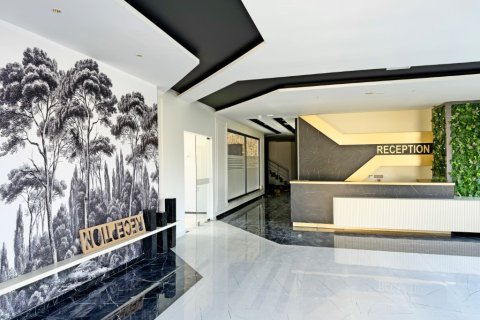 1+1 Wohnung  in Alanya, Antalya, Türkei Nr. 216482 - 28