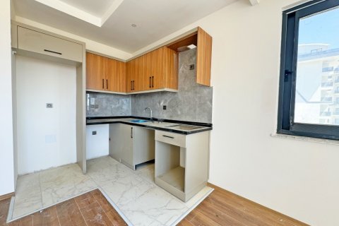 1+1 Wohnung  in Alanya, Antalya, Türkei Nr. 216482 - 22