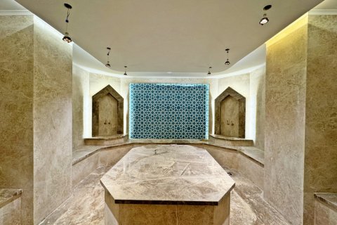 1+1 Wohnung  in Alanya, Antalya, Türkei Nr. 216482 - 11