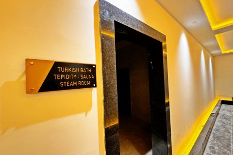 1+1 Wohnung  in Alanya, Antalya, Türkei Nr. 216482 - 9