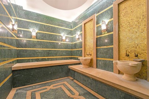 1+1 Lejlighed i Kestel, Antalya, Tyrkiet Nr. 227145 - 10