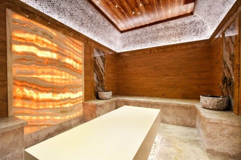 Daire 1+1 Oba, Antalya, Türkiye №227142 - 21