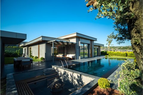 8+1 Villa  in Bueyuekcekmece, Istanbul, Turkey No. 221422