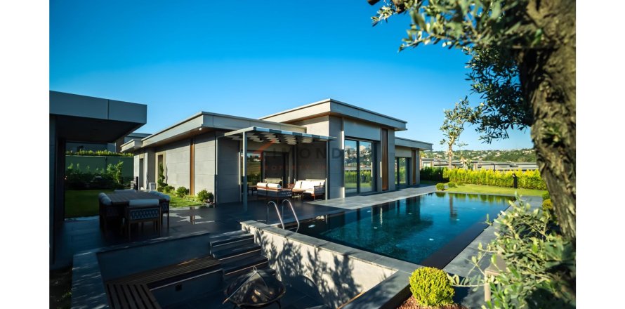 10+1 Villa  in Bueyuekcekmece, Istanbul, Turkey No. 221423