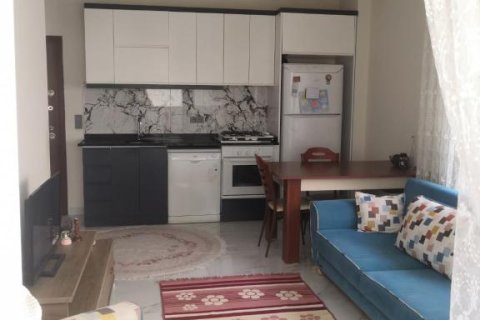 Продажа квартиры  в Аланье, Анталье, Турция 2 комн., 48м2, №211843 – фото 3