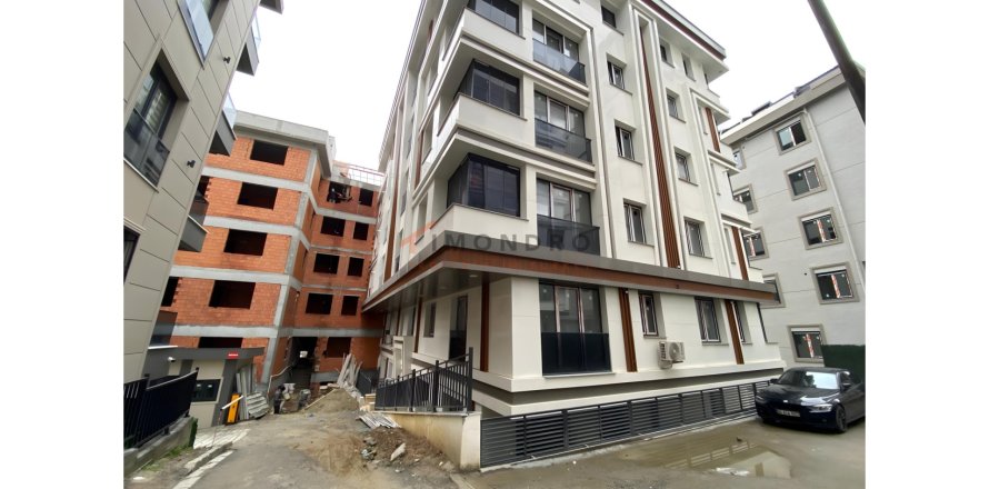 3+1 Lejlighed i Besiktas, Istanbul, Tyrkiet Nr. 217021