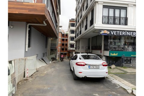 3+1 Lejlighed i Besiktas, Istanbul, Tyrkiet Nr. 217021 - 29