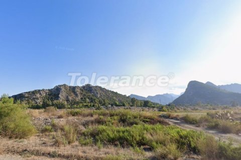 Land  in Antalya, Türkei Nr. 220043