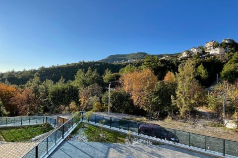 Продажа виллы в Бекташе, Аланье, Анталье, Турция 6+1, 480.0м2, №213792 – фото 37