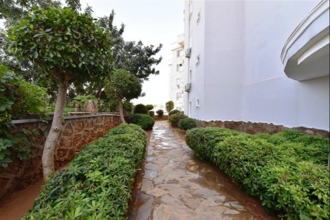 Продажа квартиры  в Аланье, Анталье, Турция 3+1, 150м2, №219421 – фото 15