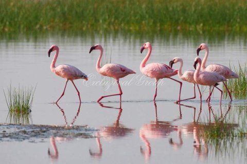 2+1 Apartment  in Bodrum, Mugla, Turkey No. 221572