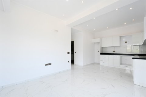 1+1 Wohnung in Prime Loft Residence, Mahmutlar, Antalya, Türkei Nr. 221568 - 5