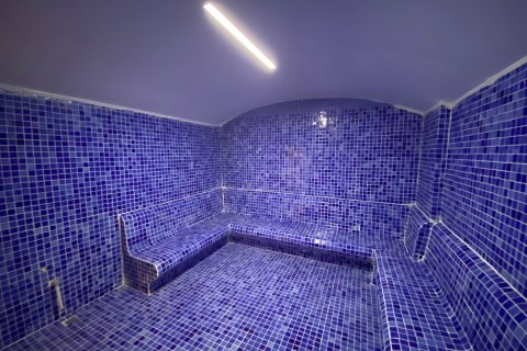 1+1 Wohnung in Prime Loft Residence, Mahmutlar, Antalya, Türkei Nr. 221568 - 13