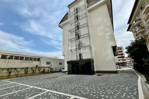 Продажа офиса в Аланье, Анталье, Турция, 55м2, №215848 – фото 5