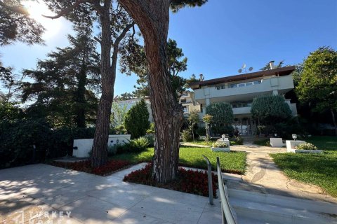 Villa 12+1 İstanbul, Türkiye №233229 - 16
