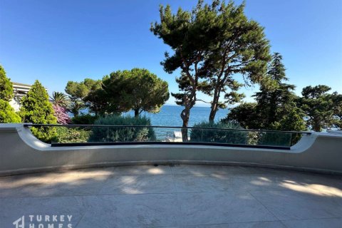 Villa 12+1 İstanbul, Türkiye №233229 - 1
