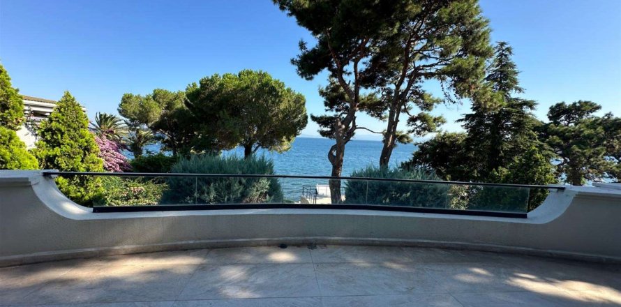 Villa 12+1 İstanbul, Türkiye №233229
