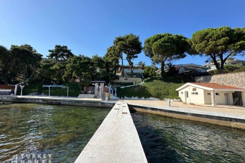 Villa 12+1 İstanbul, Türkiye №233229 - 5