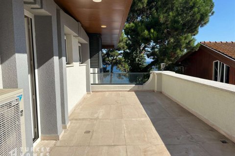 Villa 12+1 İstanbul, Türkiye №233229 - 8