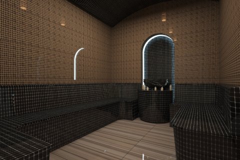 Erhvervsejendom  i Alanya, Antalya, Tyrkiet Nr. 213661 - 15