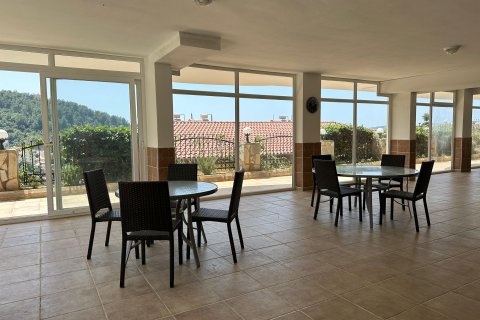 3+1 Wohnung in Alanya, Antalya, Türkei Nr. 218243 - 16