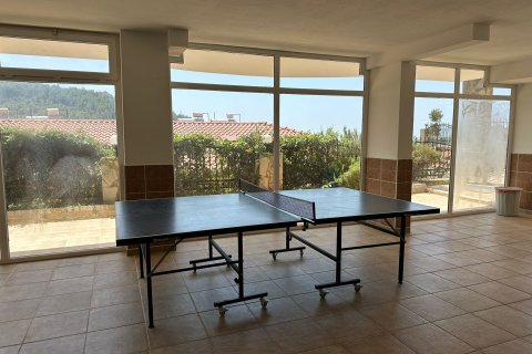 3+1 Wohnung in Alanya, Antalya, Türkei Nr. 218243 - 17