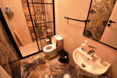 5+1 Villa i Uzumlu, Erzincan, Tyrkia Nr. 233925 - 19
