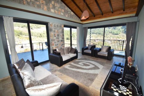 5+1 Villa i Uzumlu, Erzincan, Tyrkia Nr. 233925 - 13