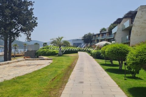 2+1 Lejlighed i Bodrum, Mugla, Tyrkiet Nr. 221098 - 11
