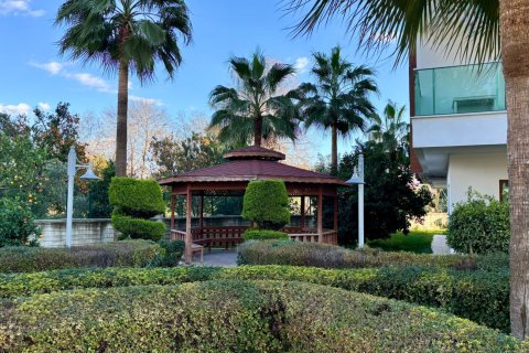 4+1 Lägenhet i Oba, Antalya, Turkiet Nr. 221101 - 17