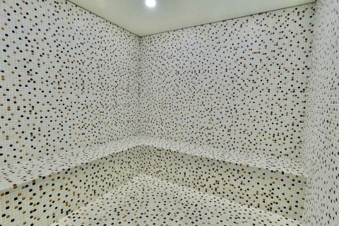 2+1 Leilighet  i Kestel, Antalya, Tyrkia Nr. 218092 - 15