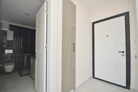 1+1 Wohnung  in Alanya, Antalya, Türkei Nr. 216449 - 12