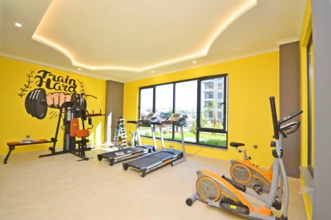 1+1 Wohnung  in Alanya, Antalya, Türkei Nr. 216449 - 5