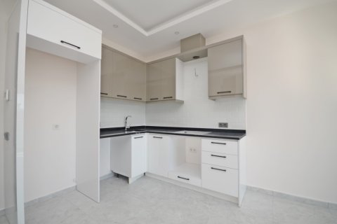 1+1 Wohnung  in Alanya, Antalya, Türkei Nr. 216449 - 13