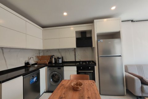 آپارتمان در Antalya ، ترکیه 1 خوابه ، 45 متر مربع. شماره 226709 - 6