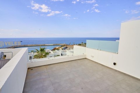 Продажа квартиры  в Эсентепе, Гирне, Северный Кипр 2+1, 90м2, №220002 – фото 15