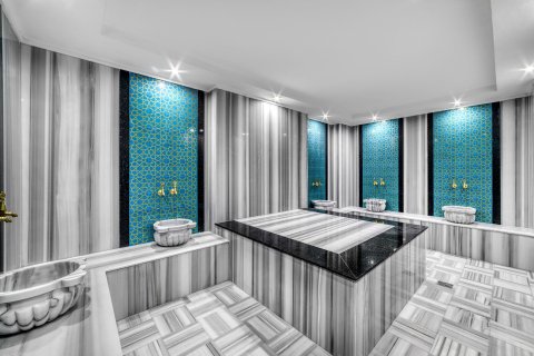 Daire  1+1  Avsallar, Antalya, Türkiye №219268 - 23