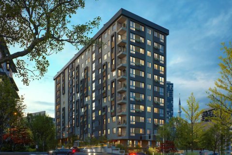 2+1 Leilighet  i Istanbul, Tyrkia Nr. 211892 - 6