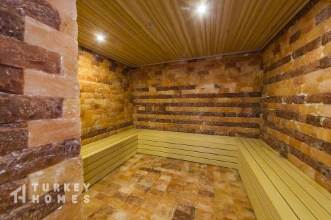 1+1 Wohnung  in Alanya, Antalya, Türkei Nr. 232956 - 20