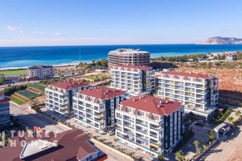 1+1 Wohnung  in Alanya, Antalya, Türkei Nr. 232956 - 22