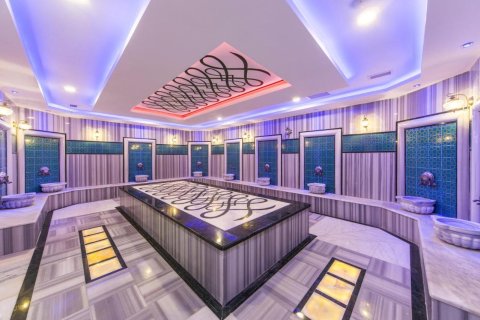 2+1 Wohnung  in Kestel, Antalya, Türkei Nr. 218491 - 15