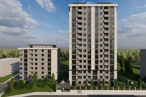 3+1 Leilighet  i Istanbul, Tyrkia Nr. 222023 - 7