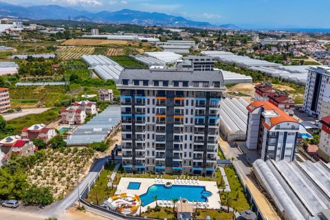1+1 Wohnung  in Alanya, Antalya, Türkei Nr. 216470 - 30