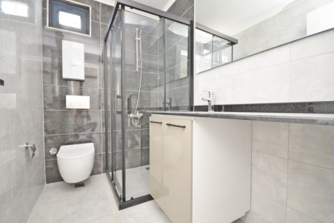 1+1 Wohnung  in Alanya, Antalya, Türkei Nr. 216470 - 21