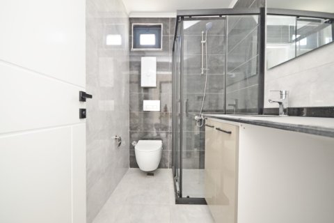 1+1 Wohnung  in Alanya, Antalya, Türkei Nr. 216470 - 20