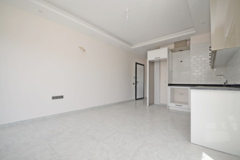 1+1 Wohnung  in Alanya, Antalya, Türkei Nr. 216470 - 23