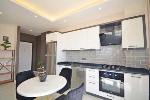 1+1 Wohnung  in Alanya, Antalya, Türkei Nr. 216473 - 8