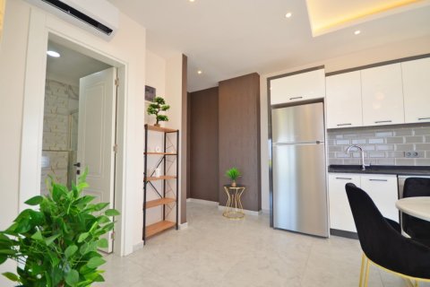 1+1 Wohnung  in Alanya, Antalya, Türkei Nr. 216473 - 9