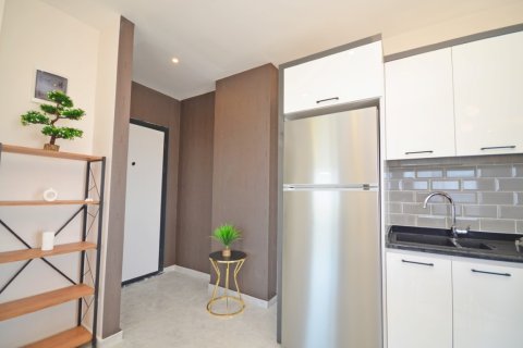 1+1 Wohnung  in Alanya, Antalya, Türkei Nr. 216473 - 6